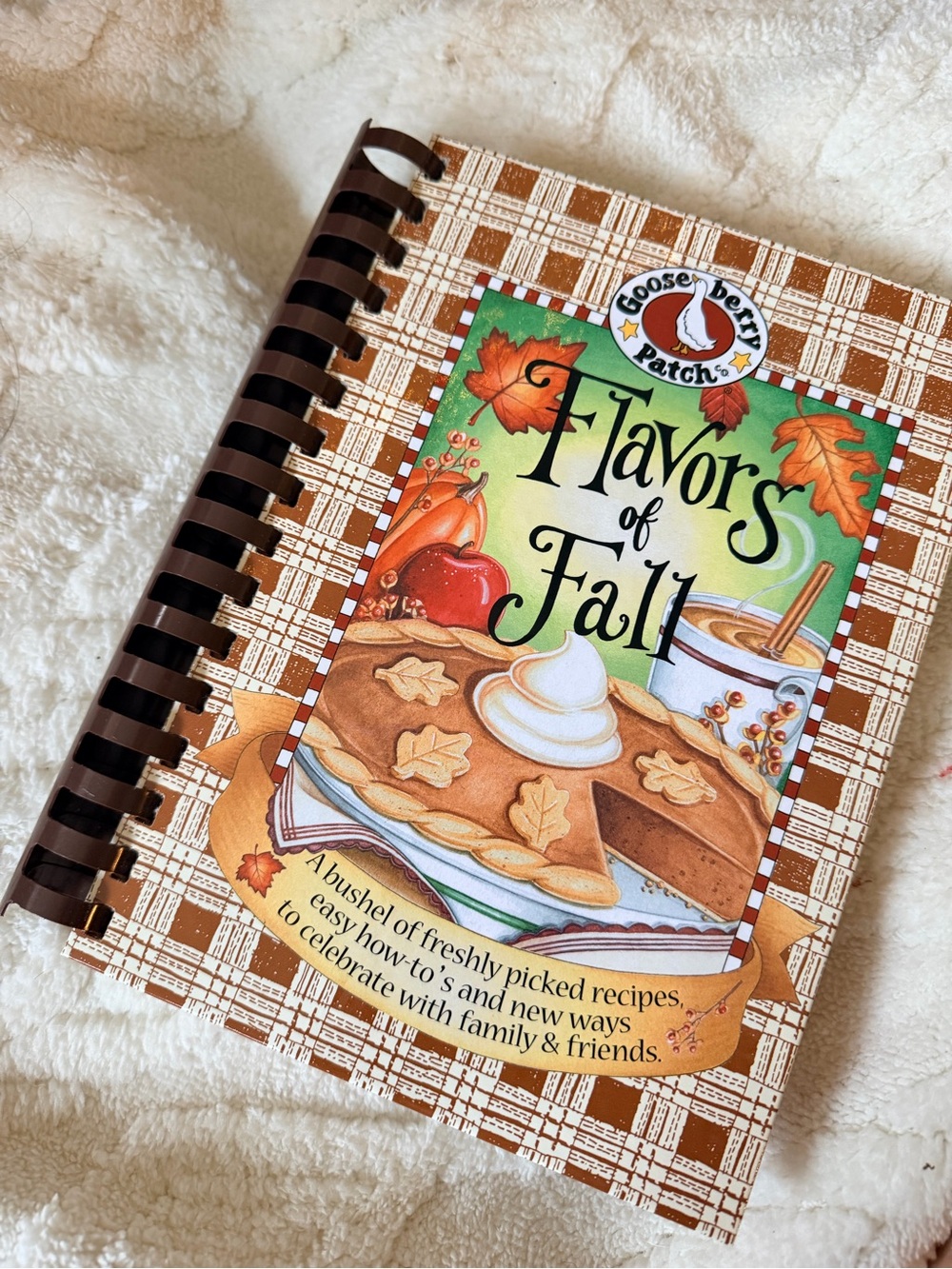 RARE - Nostalgic 2003 Gooseberry Patch Flavors of Fall Cookbook - Viral